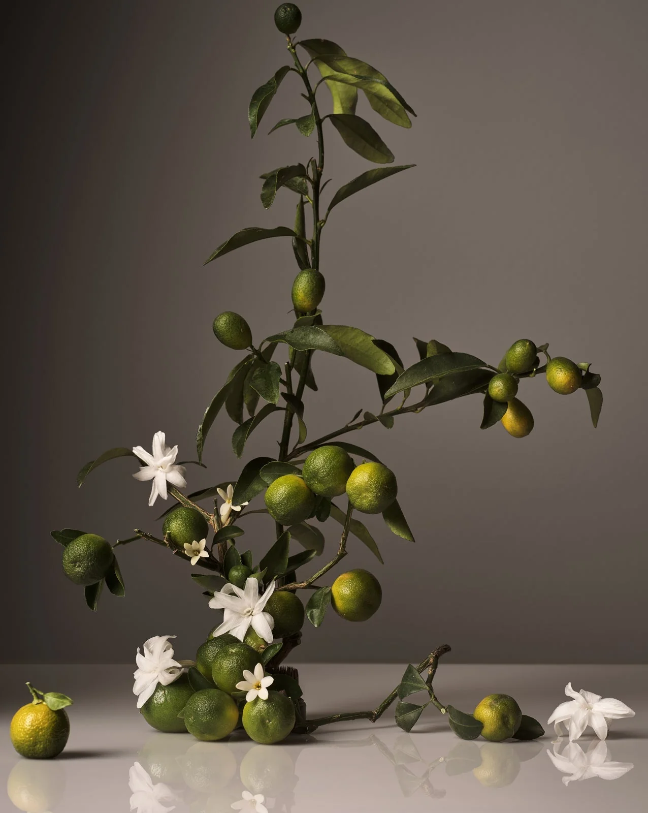 Hand Cream - Image 4